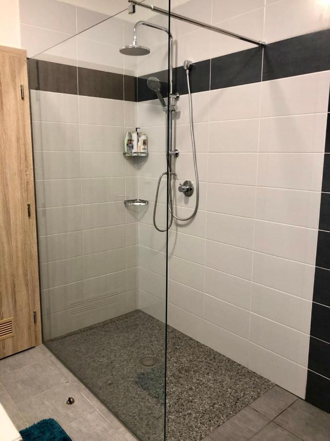 Apartman Lipno G11 Фримбурк Екстер'єр фото